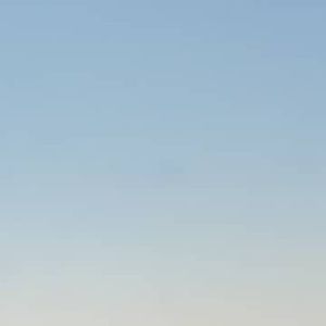 Meet your Posher, Janine